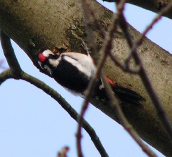 aufgenommen an der Leine, September 2005