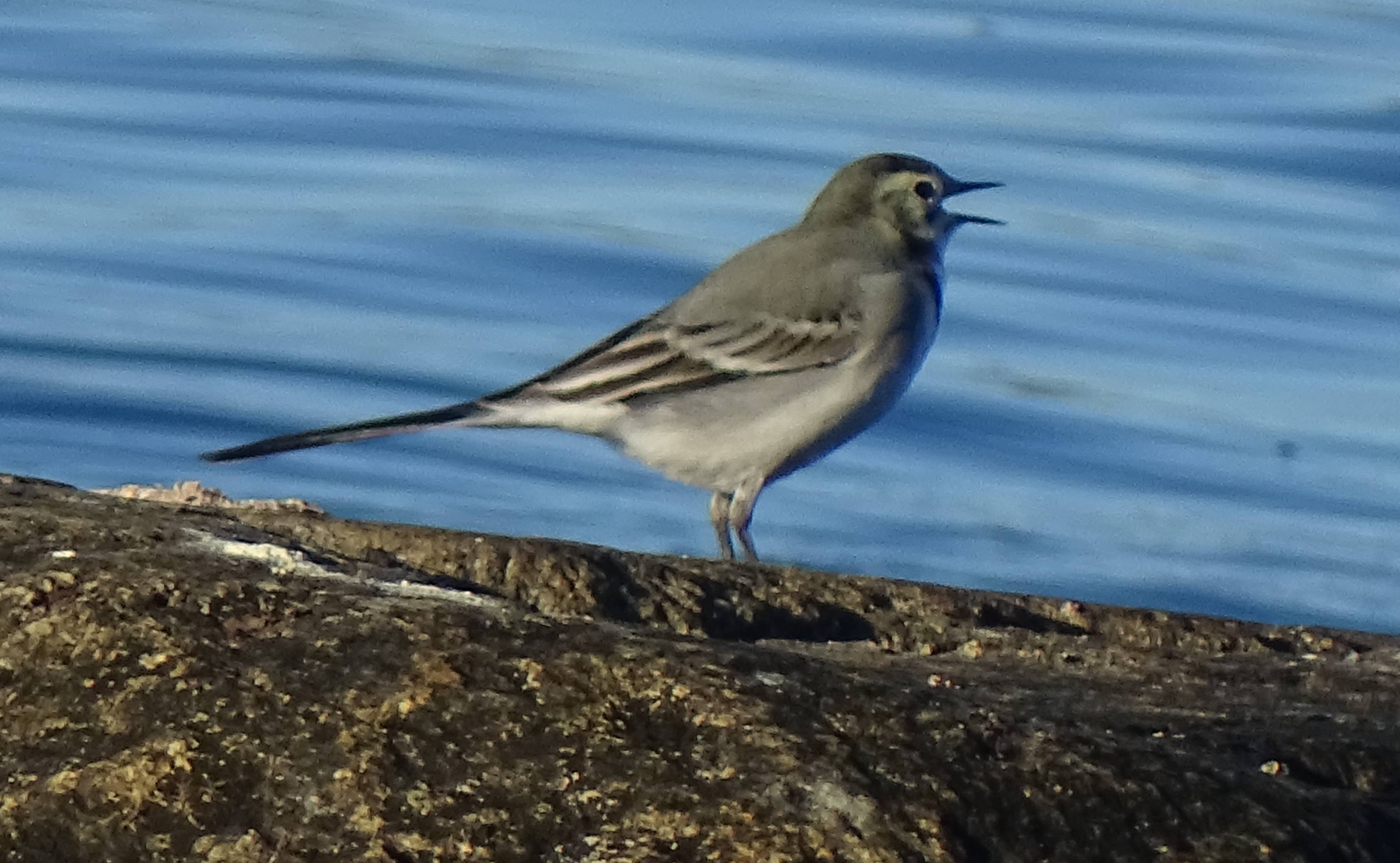 aufgenommen in Schweden 2021