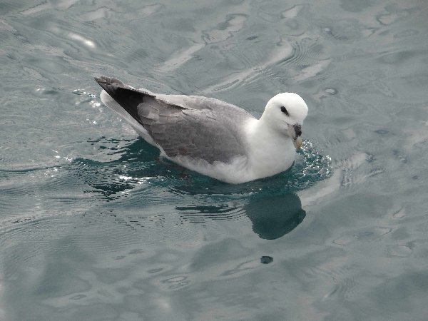 aufgenommen in Island 2015