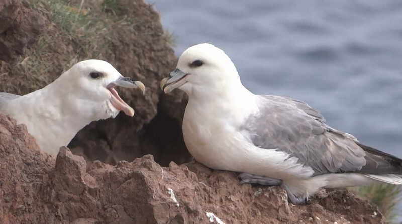 aufgenommen in Island 2015