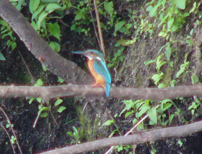 aufgenommen an der Spree