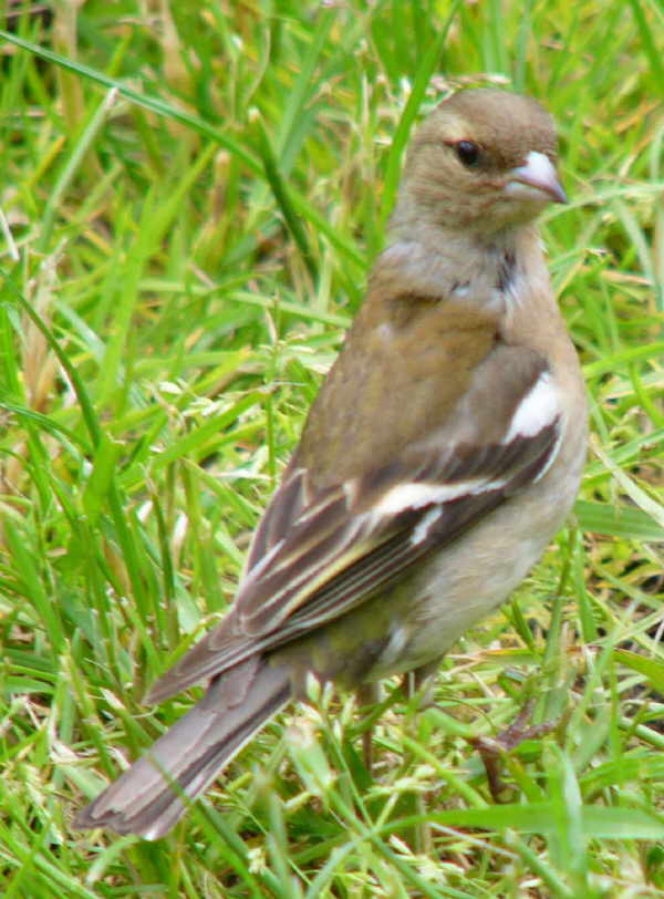 aufgenommen in Norwegen 2005