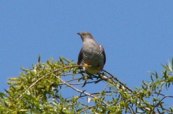 aufgenommen an der Leine