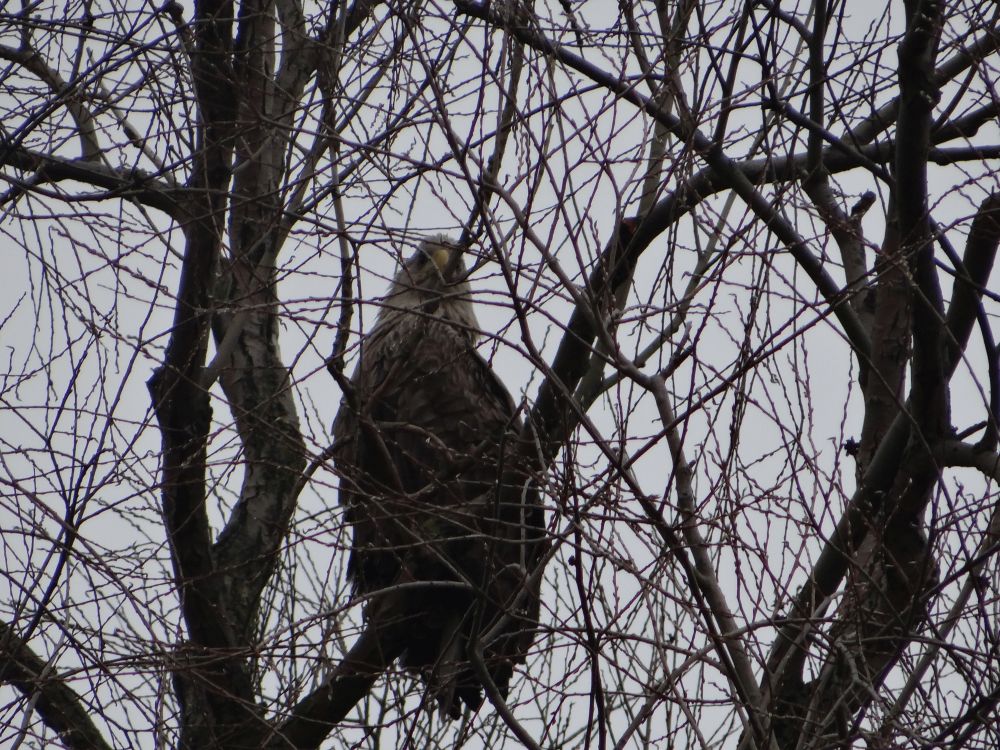 aufgenommen an der Leine 8.4.2023