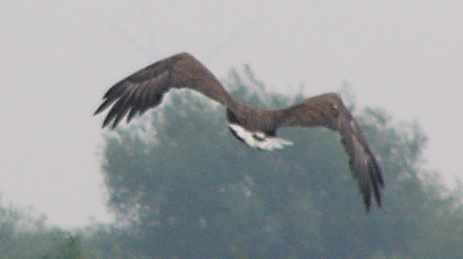 aufgenommen and der Leine