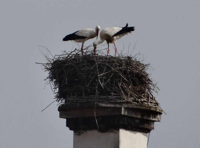 aufgenommen in Lettland 2014